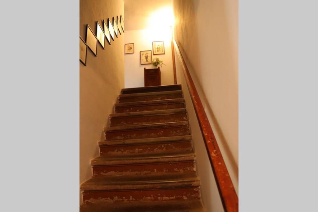 Appartement Antiche Fonti à Bibbona Extérieur photo